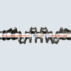 Trục cơ HINO 700 P11C