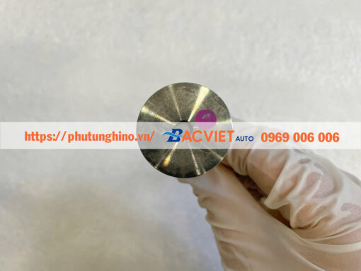 Xupap IVECO